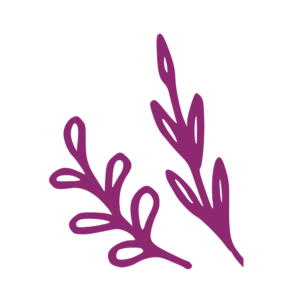 Minimalist Feminine Floral Logo